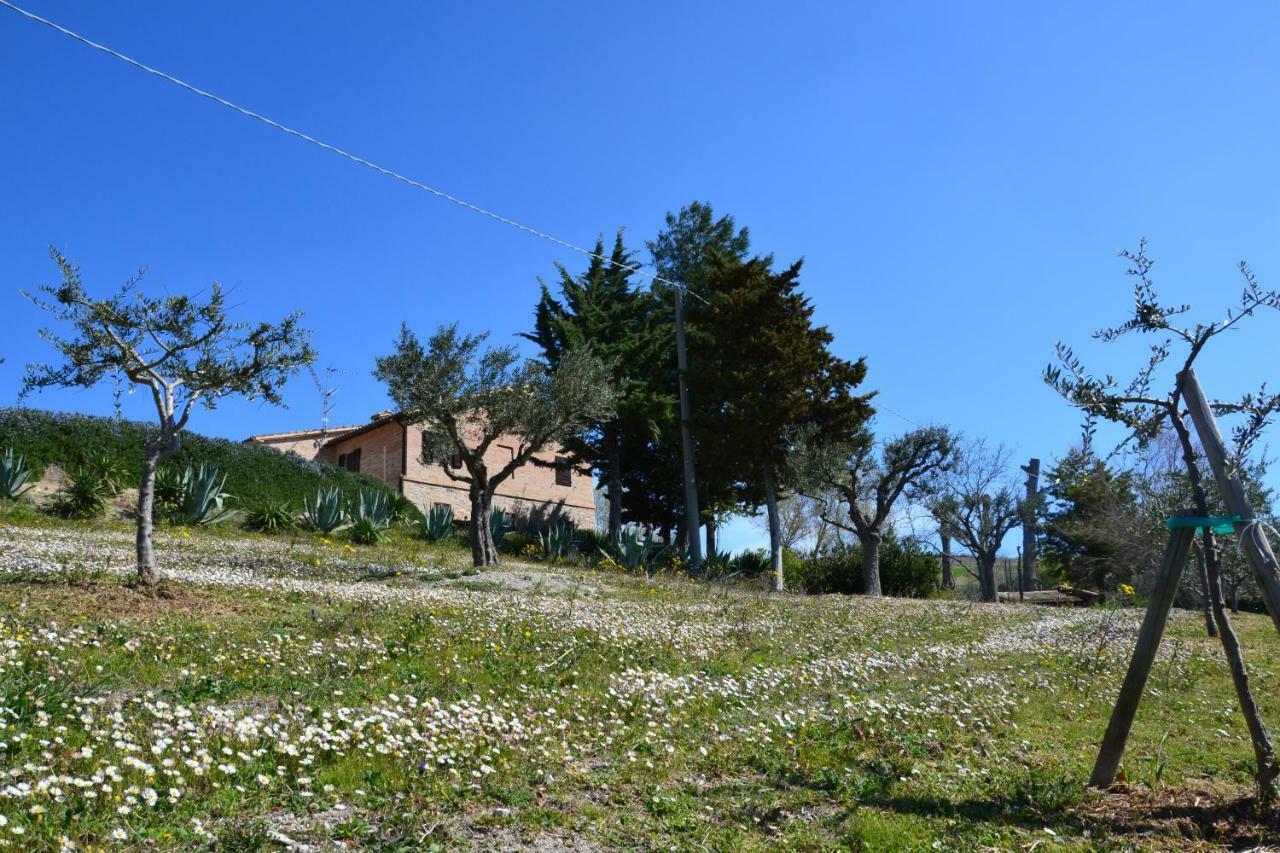 Agriturismo Villa Rosetta San Severino Marche Exterior photo