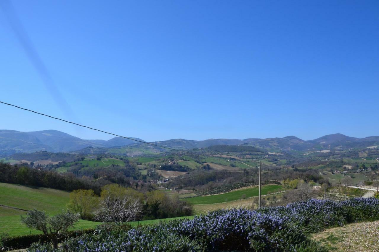 Agriturismo Villa Rosetta San Severino Marche Exterior photo